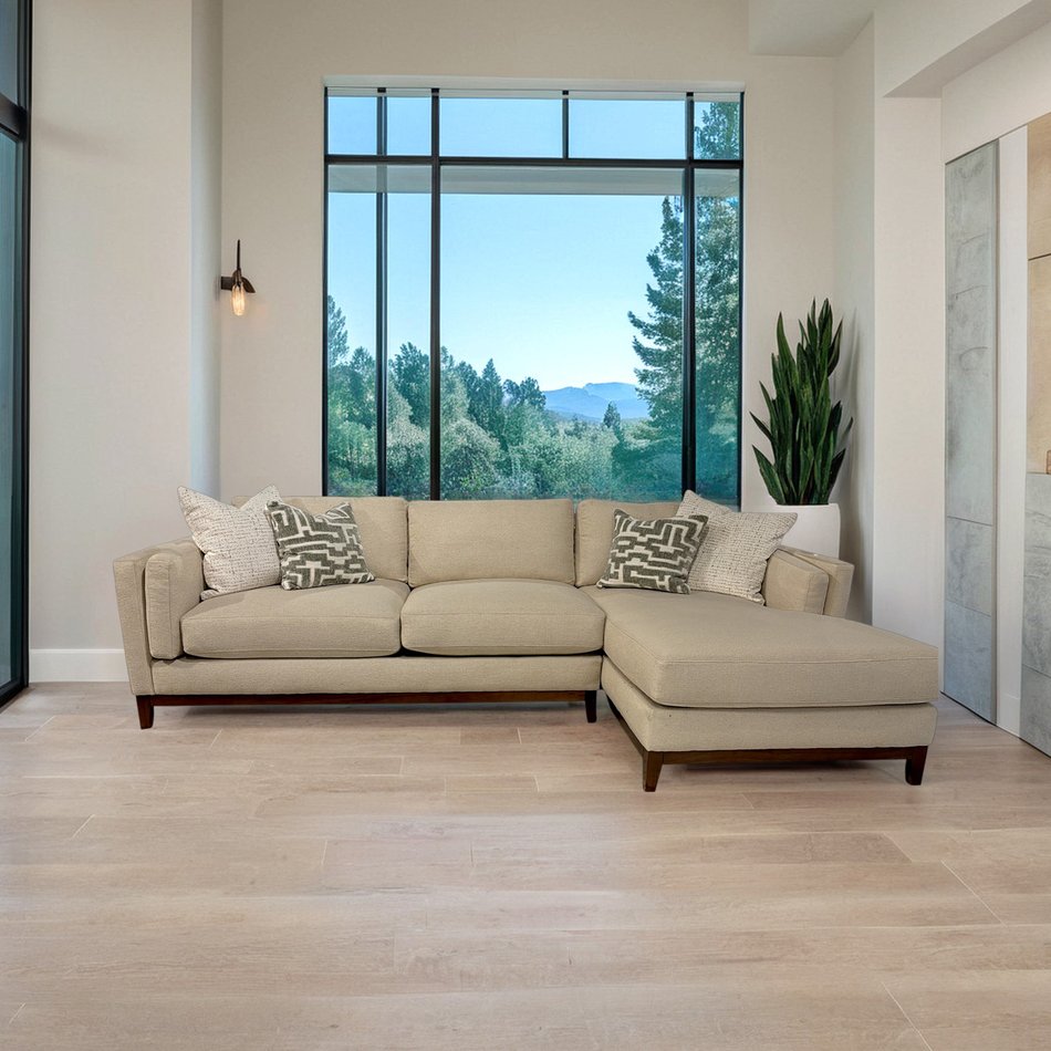 2 Piece Sectional