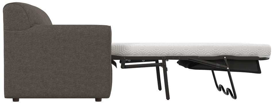 Twin Sleeper Sofa