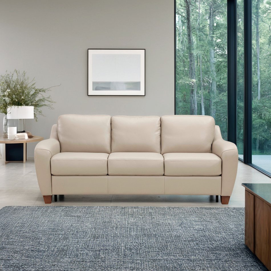 Queen Sleeper Sofa