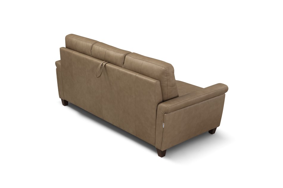 Queen Sleeper Sofa
