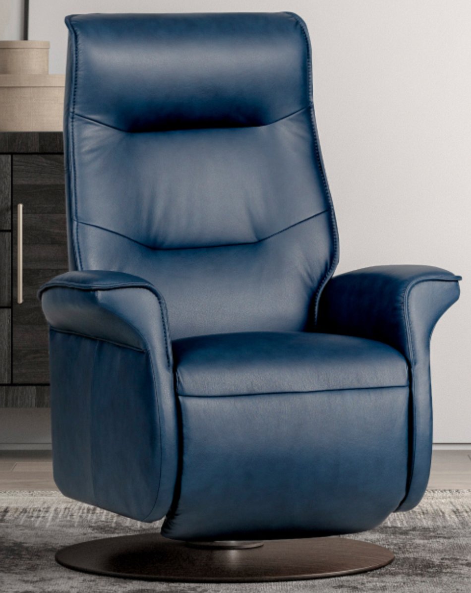 Ergo Recliner