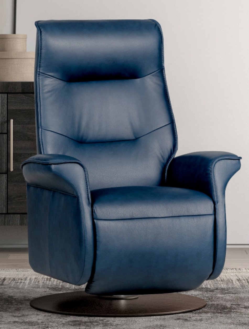 Ergo Recliner
