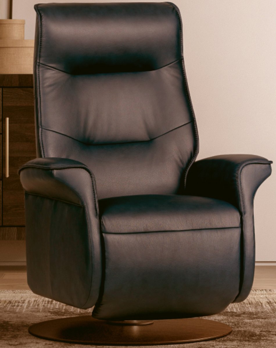 Ergo Recliner