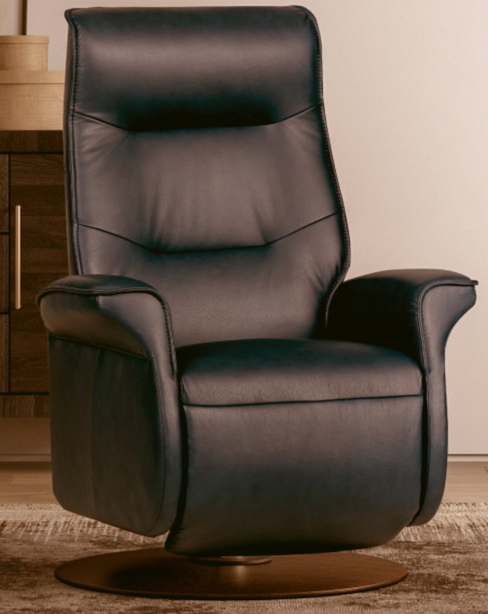 Ergo Recliner