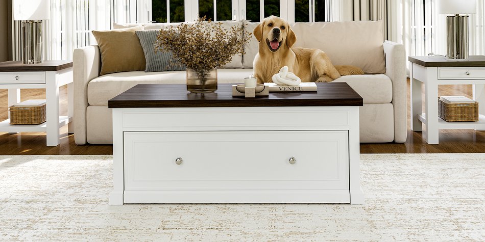 Lift Top Cocktail Table TwSlpr