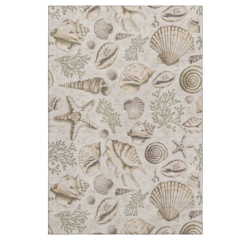 Area Rug
