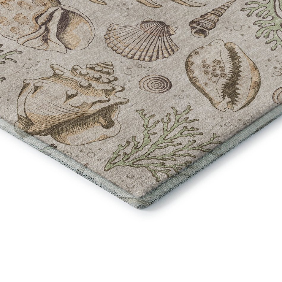 Area Rug