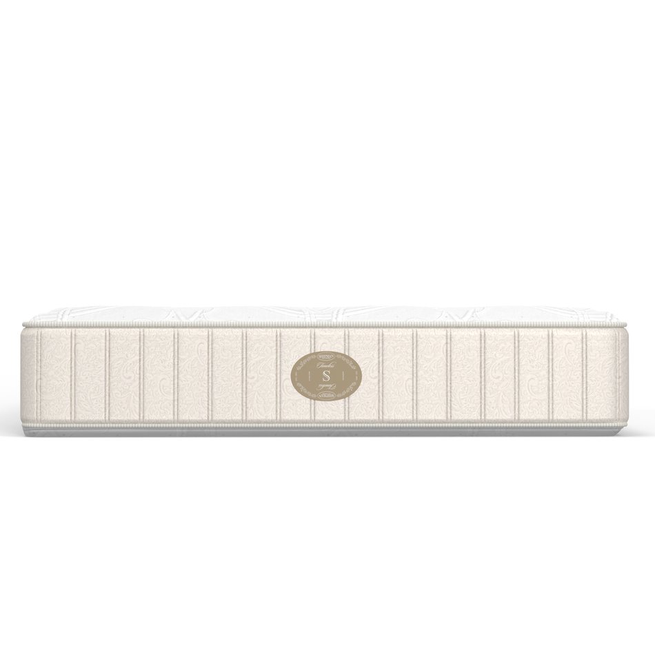 Twin Mattress