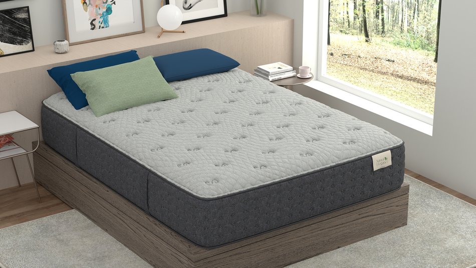 Natural Elegance by Niropedic Angeline II Cushion Firm Twin Mattress