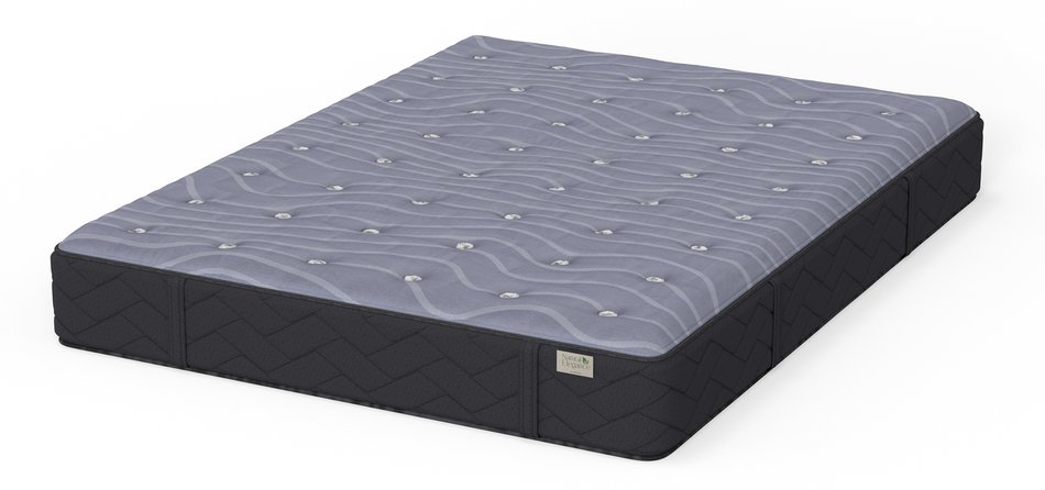 Natural Elegance by Niropedic Arietta Plush Twin Mattress