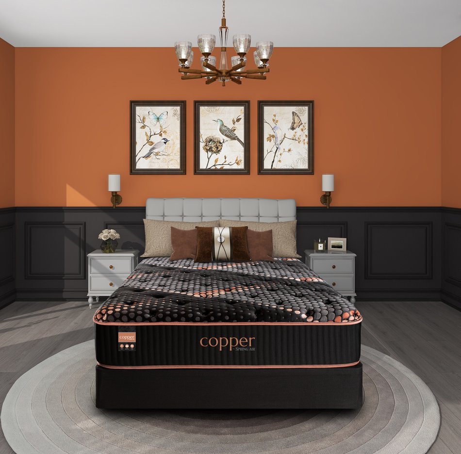 Copper by Spring Air Alloy Medium Full Mattress