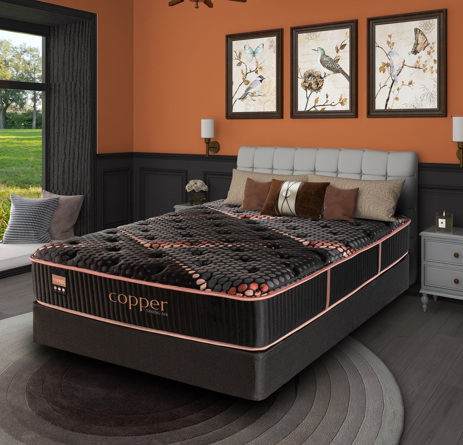 Copper by Spring Air Alloy Medium Twin Xl Mattress