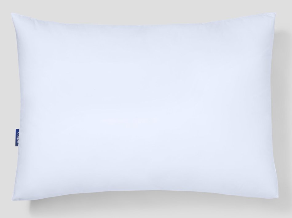 Standard Pillow