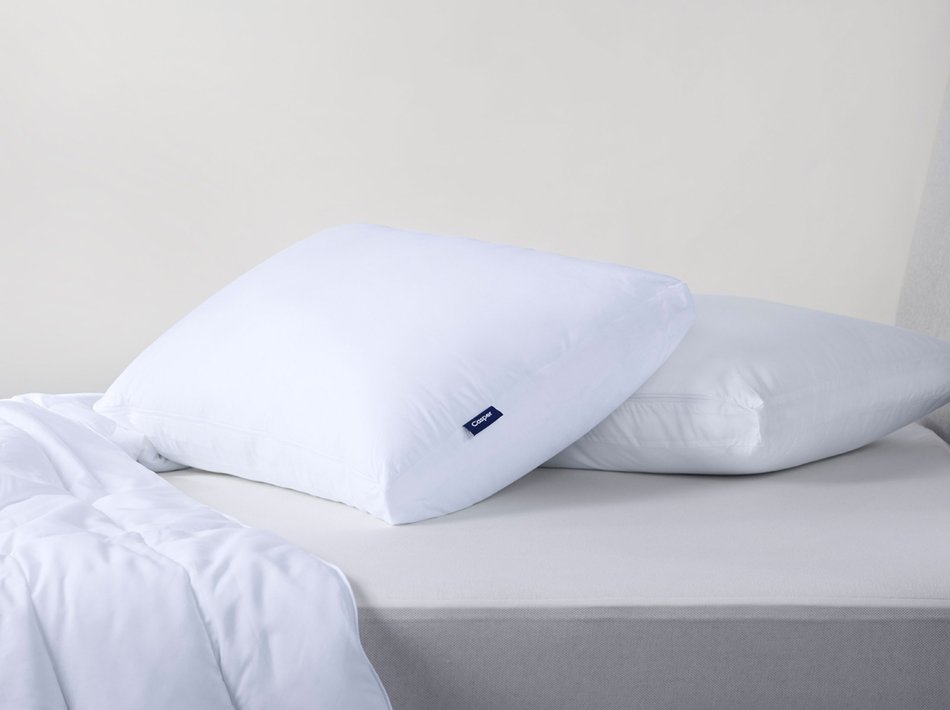 Standard Pillow